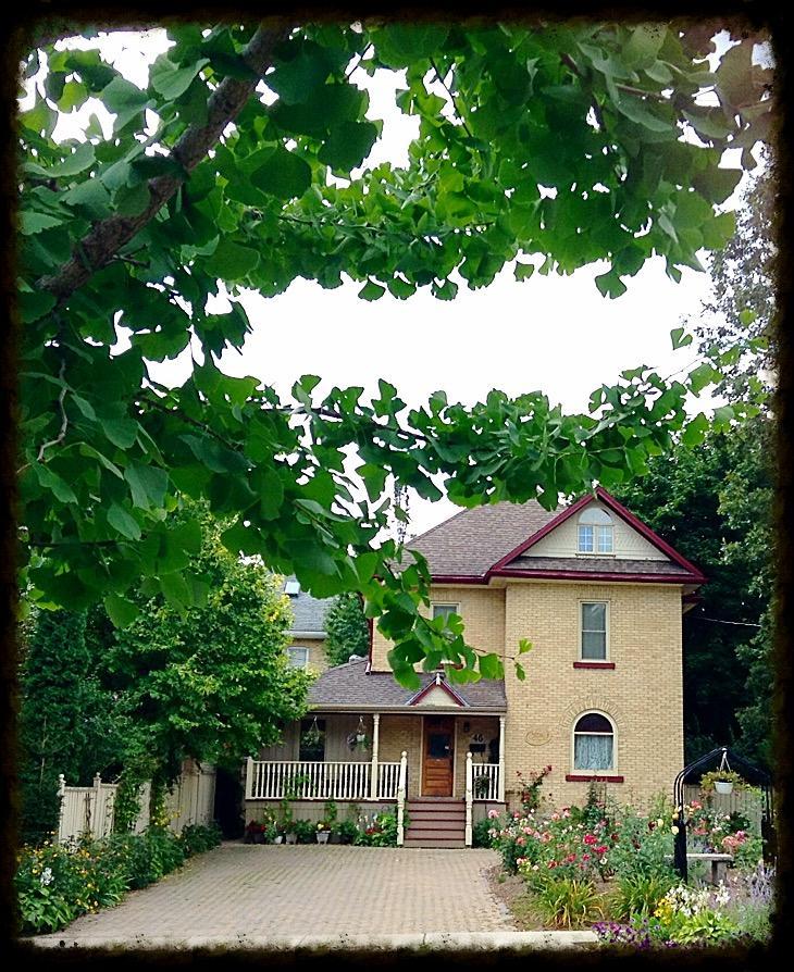 Tranquil Days Guest House - A Truly Exceptional Bed And Breakfast Stratford Exterior photo